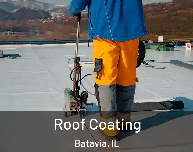  Roof Coating Batavia, IL