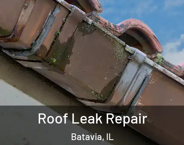  Roof Leak Repair Batavia, IL