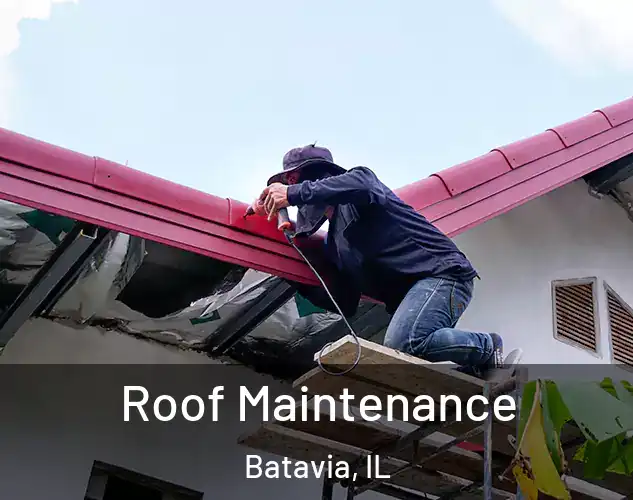  Roof Maintenance Batavia, IL