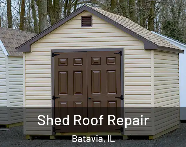  Shed Roof Repair Batavia, IL